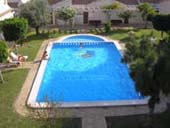 Communal Pool